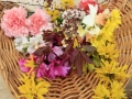 Flower Celebration
