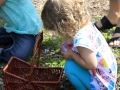 Easter Egg Hunt