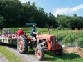 RE families enjoyed an afternoon at Holly Springs Farm.