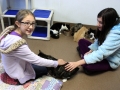 Youth interacting with cats.