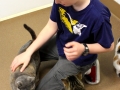 Youth interacting with cats.